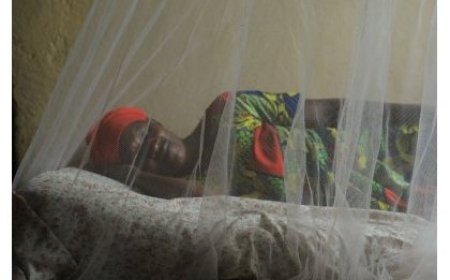 Umuti mushya wa malaria ugiye gutangira gukoreshwa mu Rwanda hose