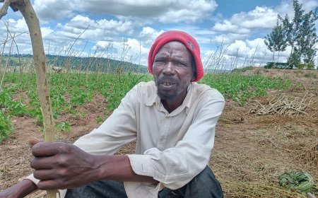 Nyagatare: Abibasiwe na malariya barasaba inzitiramibu