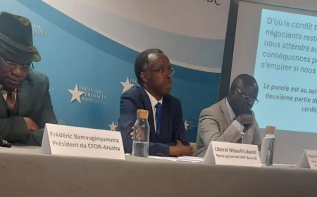 Abarundi bahunze igihugu batangaje ko bagiye gufata intwaro