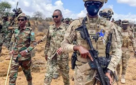 Abasirikare ba Somalia bishe abarwanyi ba Al-Shabaab barenga 100