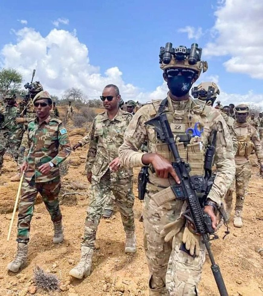 Abasirikare ba Somalia bishe abarwanyi ba Al-Shabaab barenga 100