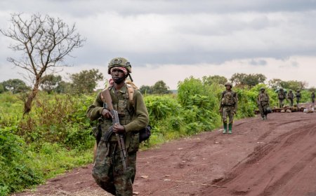 FARDC, FDLR na Wazalendo bakijijwe n’amaguru! AFC/M23 yigaruriye ibice muri Masisi