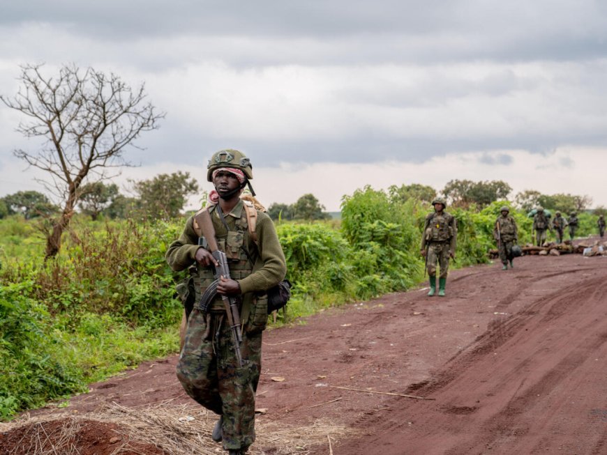 FARDC, FDLR na Wazalendo bakijijwe n’amaguru! AFC/M23 yigaruriye ibice muri Masisi