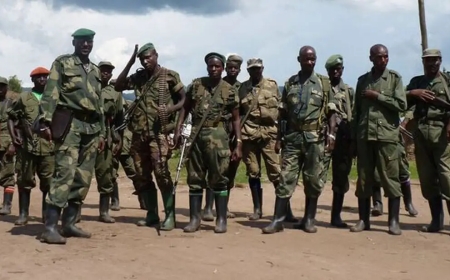 Ikinamico! FARDC yatangiye gusaba FDLR gushyira intwaro hasi