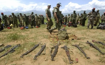 Abarwanyi ba FDLR batahutse mu Rwanda bafashijwe na MONUSCO