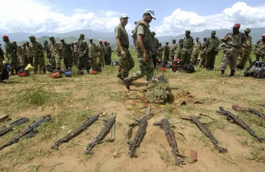 Abarwanyi ba FDLR batahutse mu Rwanda bafashijwe na MONUSCO